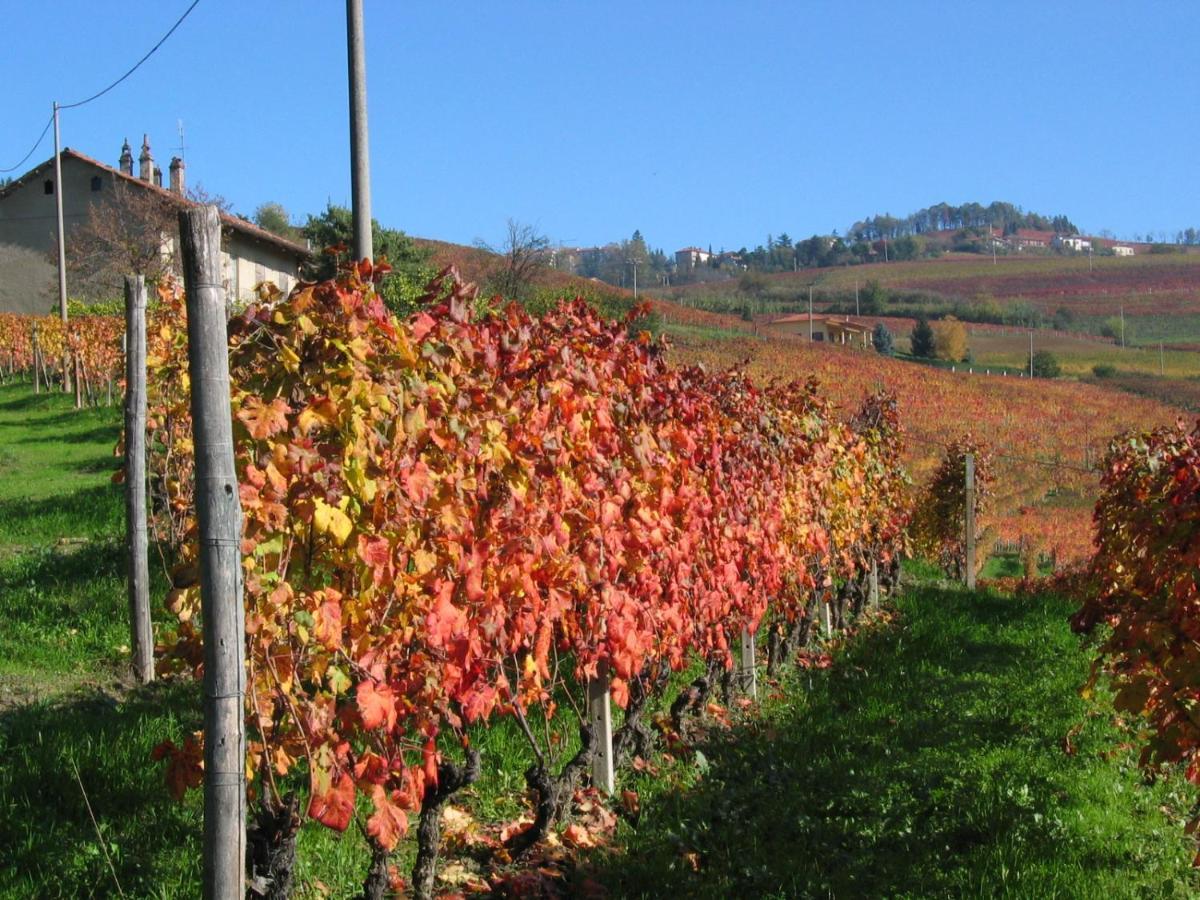 Agriturismo Il Gioco Dell'Oca Barolo Ngoại thất bức ảnh